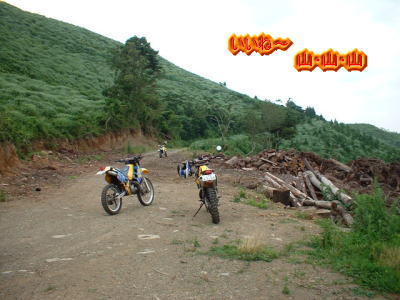 20110117_1768554