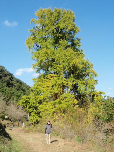 20110117_1768808
